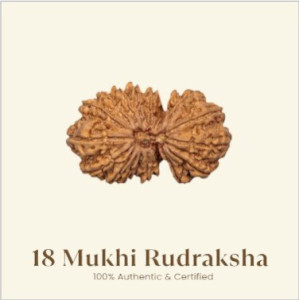18 Mukhi Rudraksha