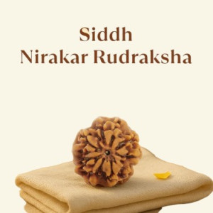 Siddh 0 Mukhi Rudraksha