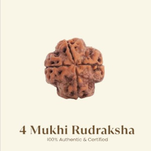 4 Mukhi Rudraksha