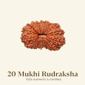 20 Mukhi Rudraksha