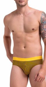 JBF047 Champion Cotton Brief with Vertical Stripe Design